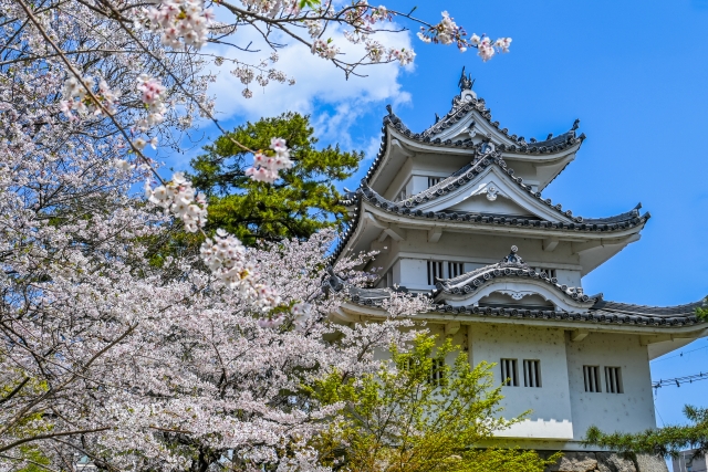 桜に彩られた伊勢の城郭建築